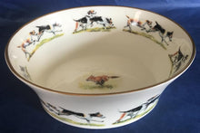 Load image into Gallery viewer, Small Fusion Bowl Racing
